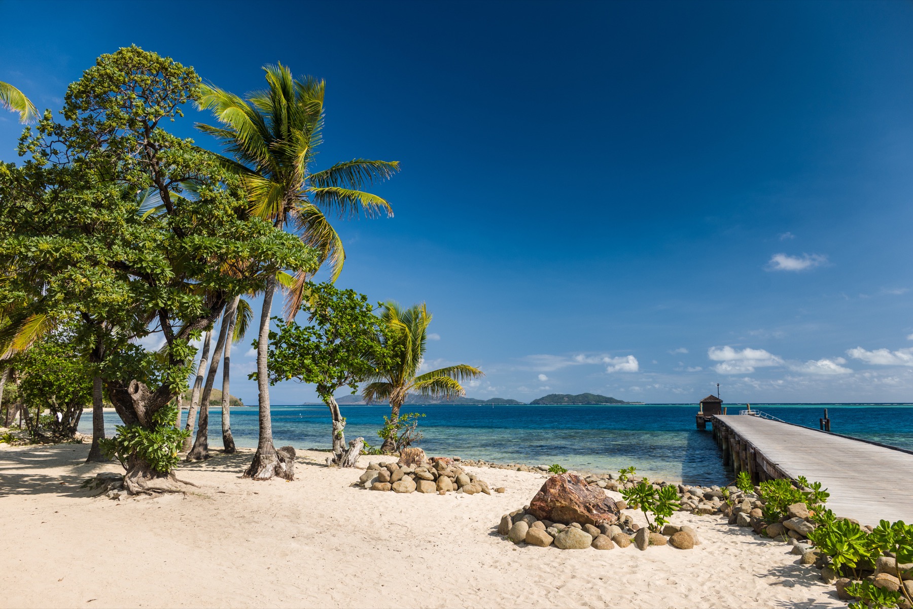 Fiji beach, palms and tropical coastline